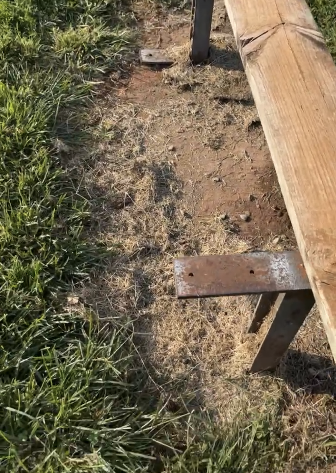 A wooden bench next to grass
AI-generated content may be incorrect.
