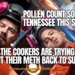 Pollen Count So High In Tennessee This Spring... All The Cookers Are Trying To Convert Their Meth Back To Sudafed - Meme